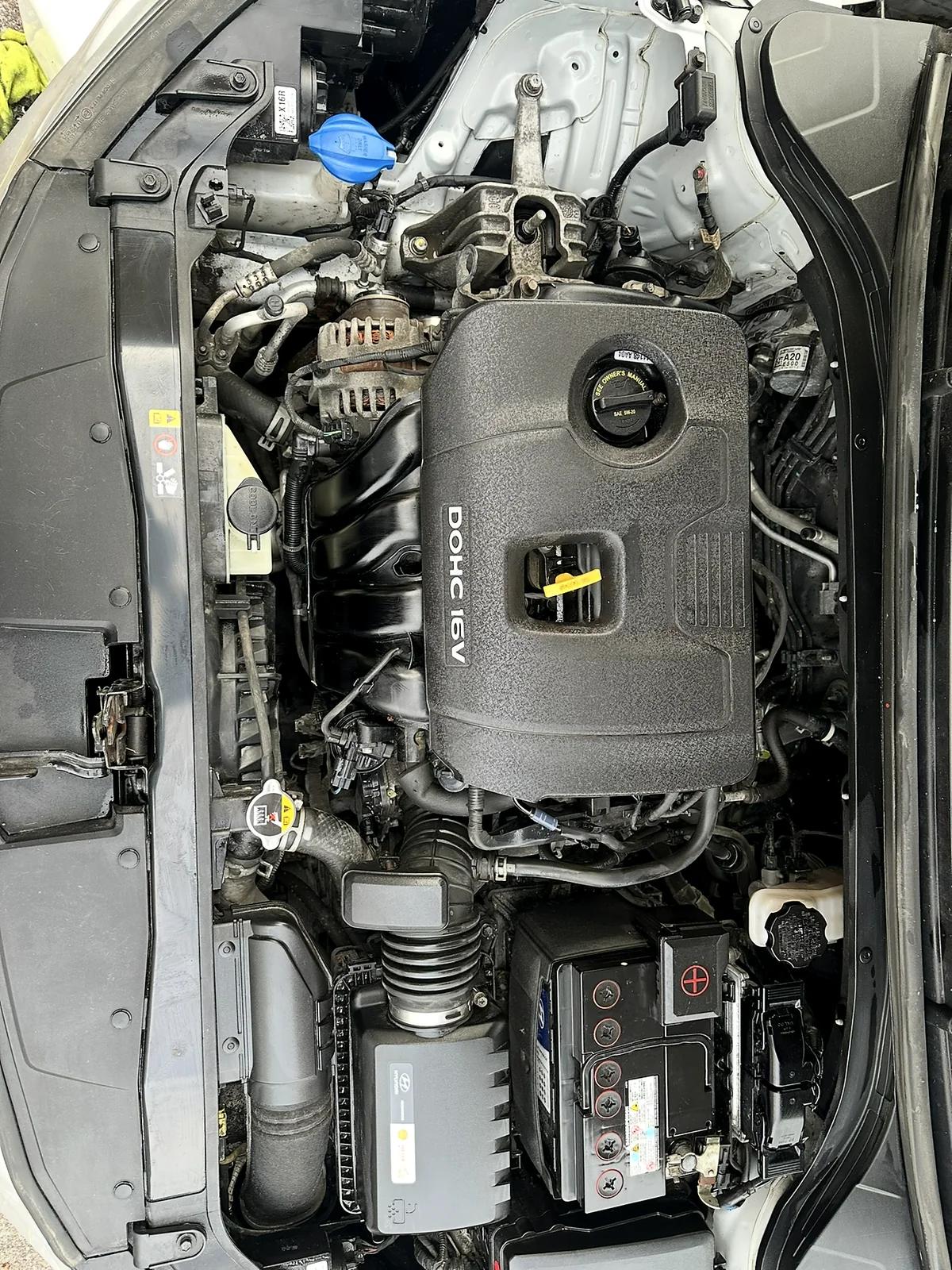 The same engine bay after an engine bay detail